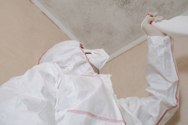 Best Crawl Space Mold Removal  in Sconsin Rapids, WI