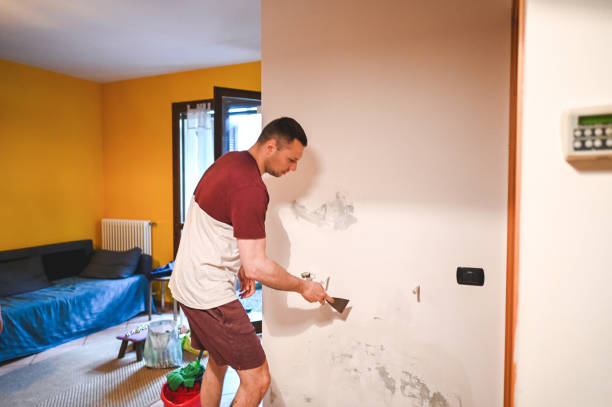 Best Home Mold Removal  in Sconsin Rapids, WI